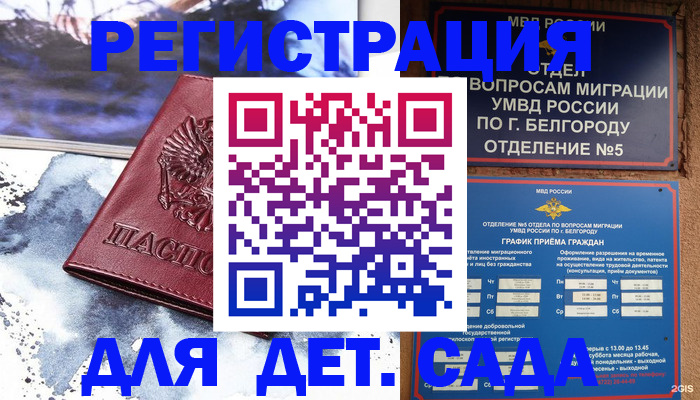 прописка поиск в Кингисеппе